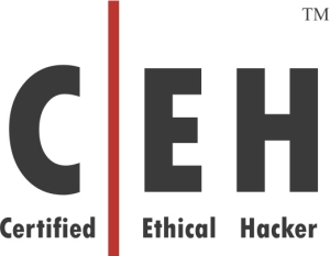 Certified Ethical Hacker (CEHv12) (Exam Included)