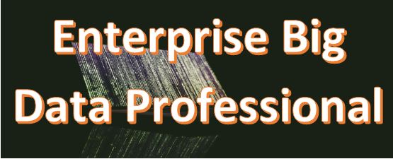 Enterprise Big Data Professional (Eng)(Exam Included)